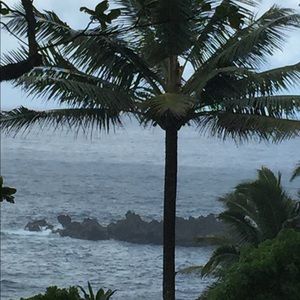 Meet your Posher, Connie